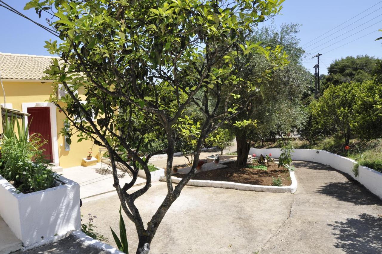 Braziliana Apartments ذيسْخا المظهر الخارجي الصورة
