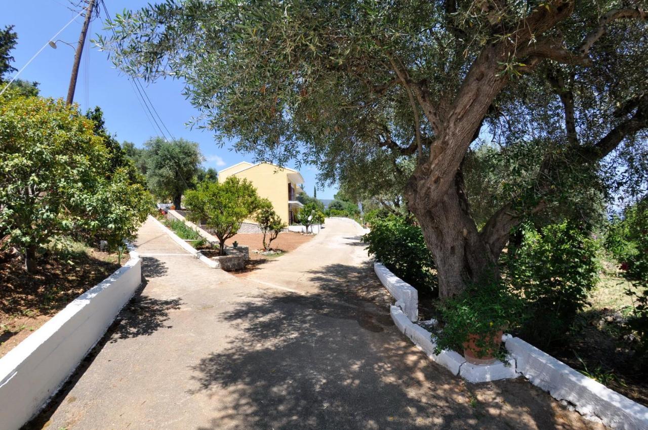Braziliana Apartments ذيسْخا المظهر الخارجي الصورة
